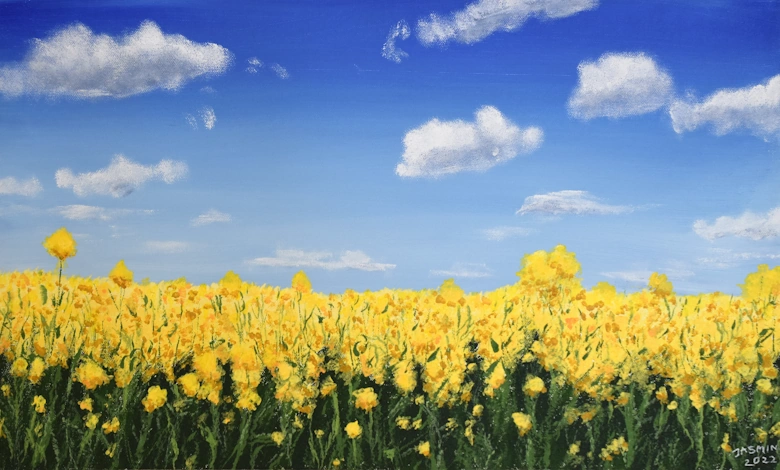 painting field with yellow flowers sky clouds